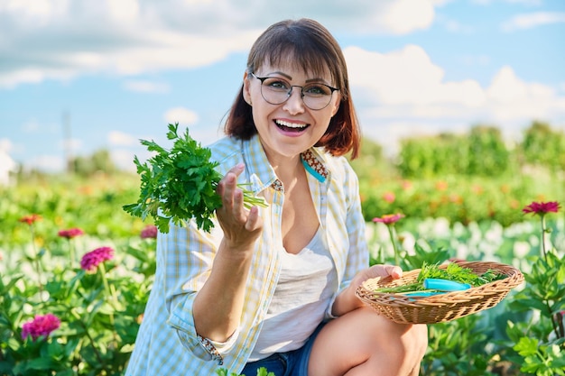 Mulher de meia idade na horta com colheita de salsa Jardineiro feminino sorridente com salsa perfumada cortada Cultivo de ervas ecológicas orgânicas naturais Horticultura de alimentos colheita de verão culinária agricultura