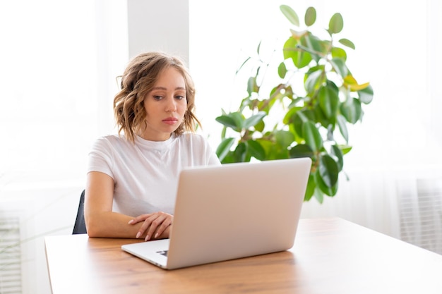 Mulher de negócios usando laptop sentado perto da mesa interior do escritório branco com planta de casa olhando um lado Empresários Pessoa de negócios Online Jovem e bem sucedido Dresed camisa branca