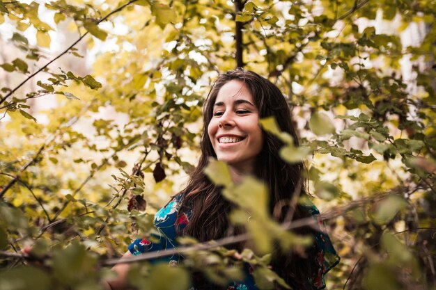 Mulher de pé em terra na floresta