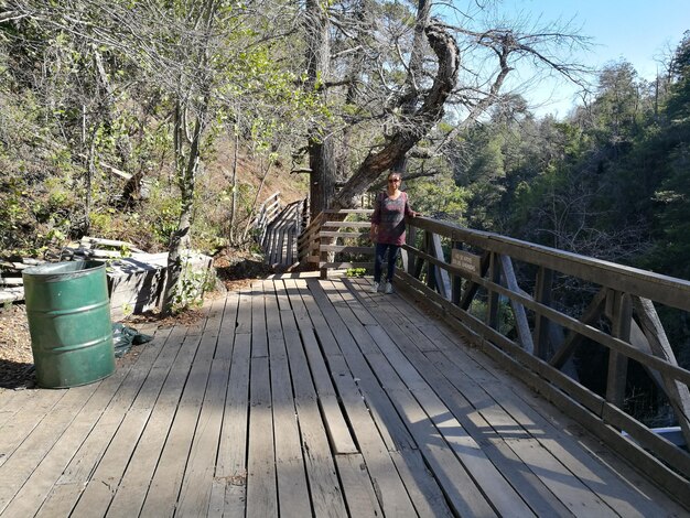 Mulher de pé na ponte contra as árvores
