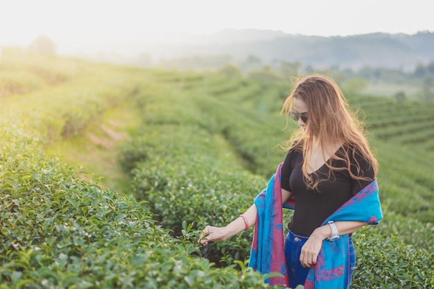 Foto mulher de pé no campo da plantação de chá choui fong em chiang rai, na tailândia