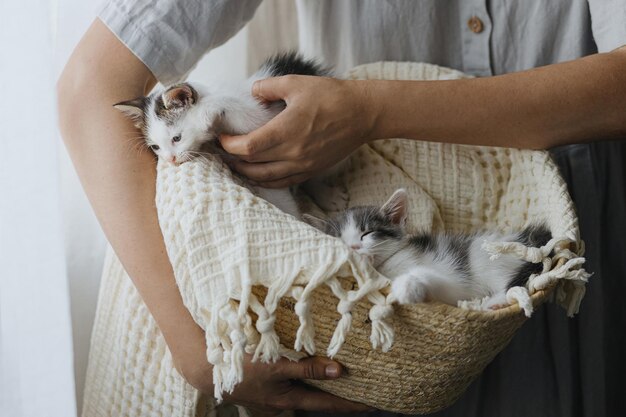 Mulher de vestido rústico segurando cesta com gatinhos fofos Gatinhos adoráveis na cesta Adoção