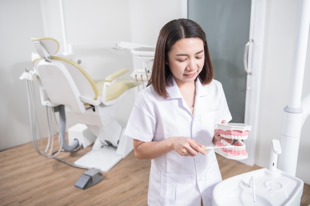 Mulher dentista praticando trabalho no modelo de dente