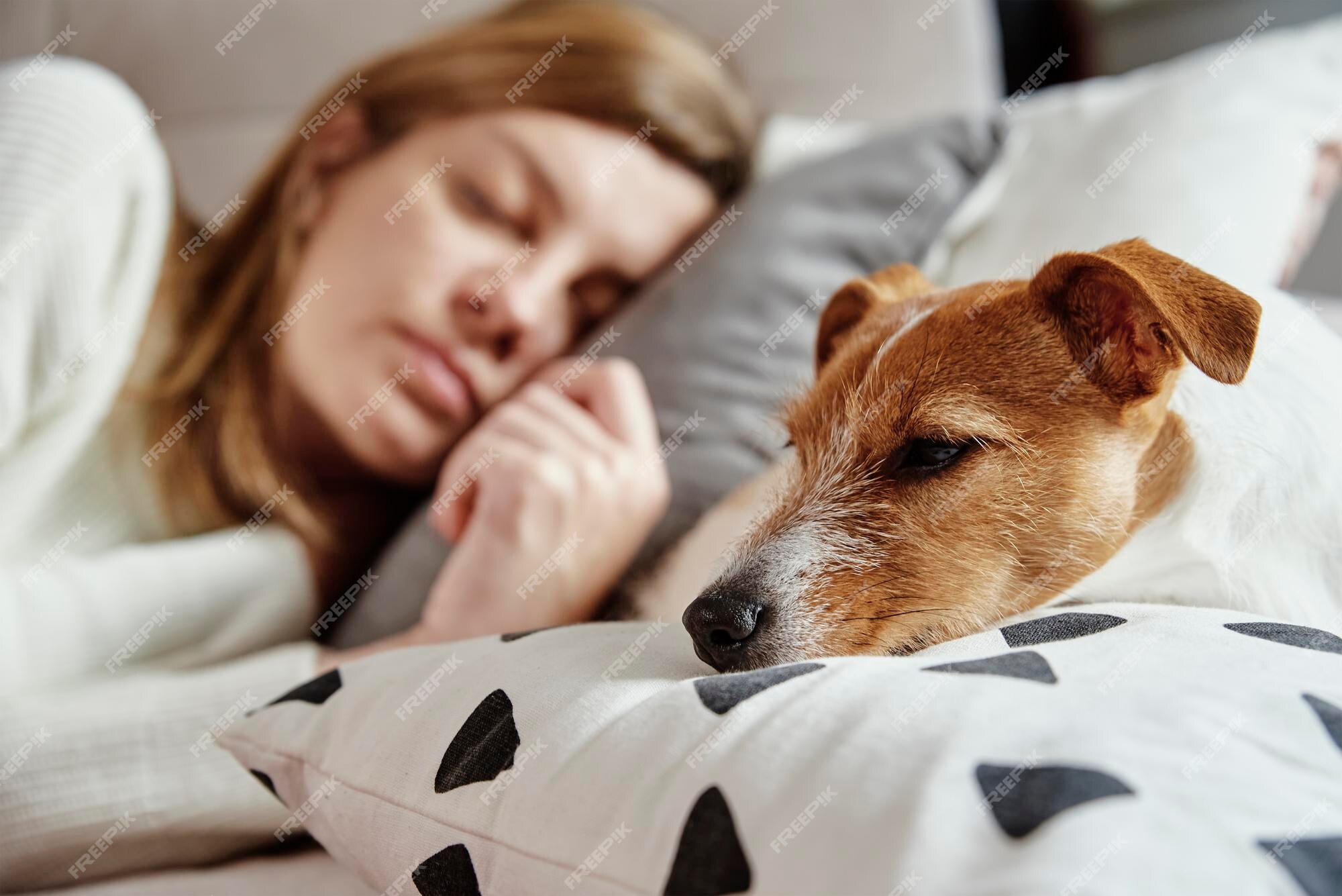 Mulher Feliz Descansando Com Seu Cachorro Imagem de Stock - Imagem de  moderno, maca: 270960225