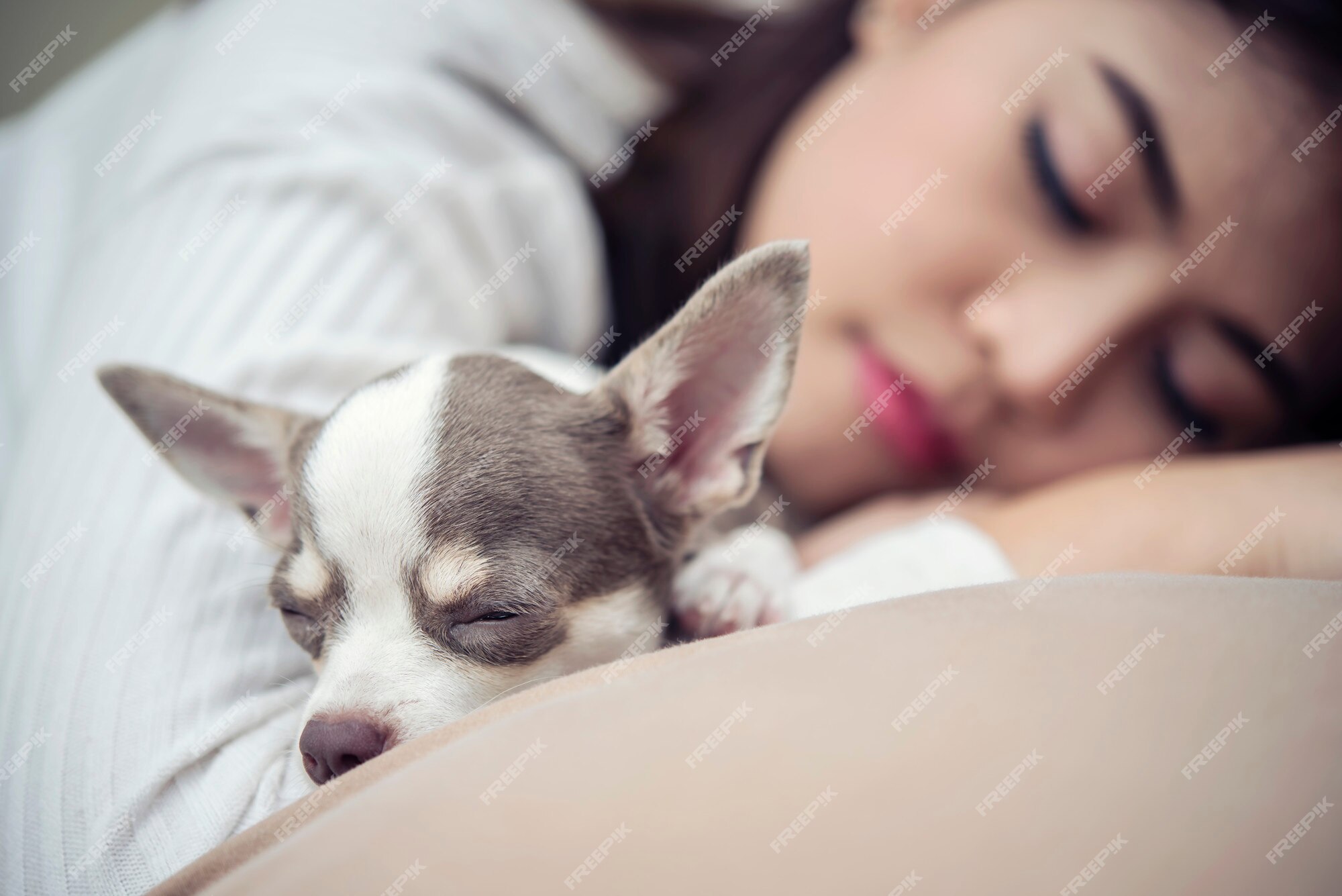 Mulher Feliz Descansando Com Seu Cachorro Imagem de Stock - Imagem de  moderno, maca: 270960225