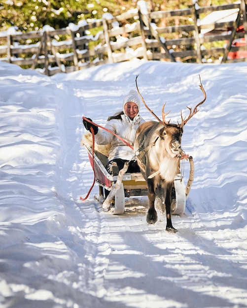 Mulher durante passeio de trenó de renas no inverno Rovaniemi, Lapônia, Finlândia