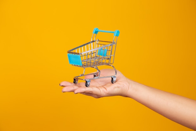 Mulher e o supermercado, ela está mostrando um mini carrinho. Conceito de promoção de compras.