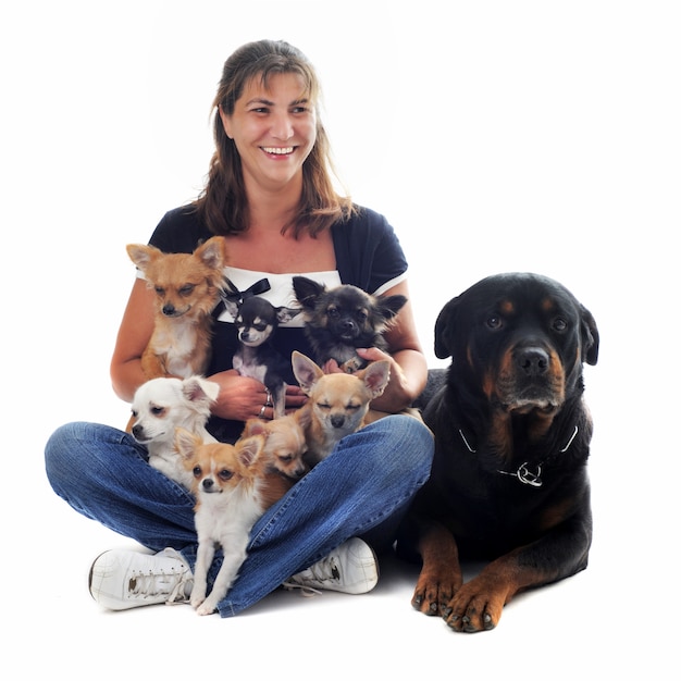 Foto mulher e seus cachorros