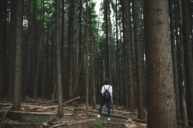 Mulher elegante turista parada no meio da floresta de abetos da montanha, olhando para o futuro