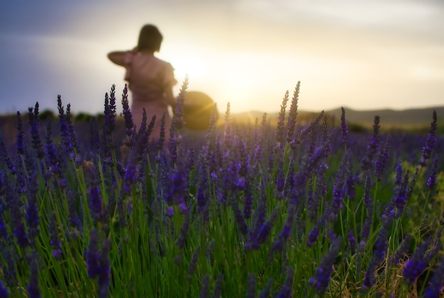 Foto mulher em lavandula.