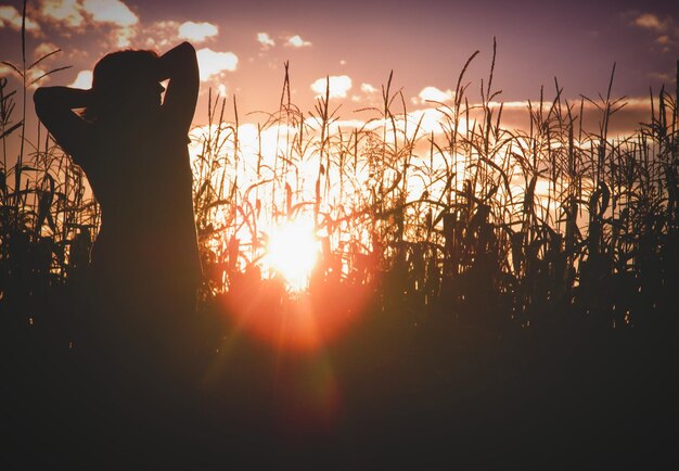 Foto mulher em silhueta de pé contra as plantas durante o pôr do sol