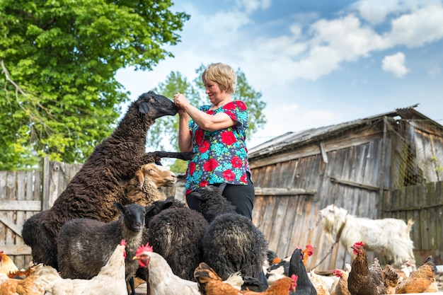 Mulher em sua fazenda de ovelhas, animais e natureza