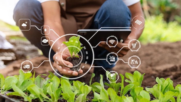 Mulher entrega alface de jardinagem em fazenda com processo de crescimento e fórmula química em fundo verde com VR iconxA