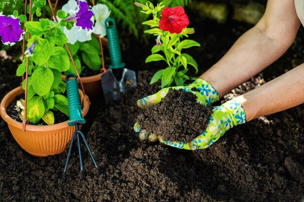 Mulher entrega florista trabalhando em estufa com ferramentas de jardinagem