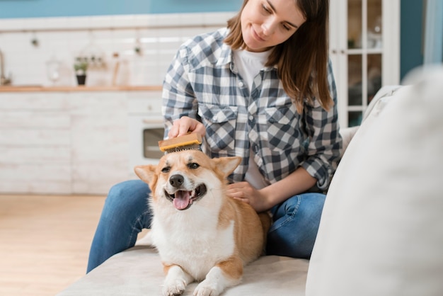 Foto mulher escovando seu cachorro no sofá