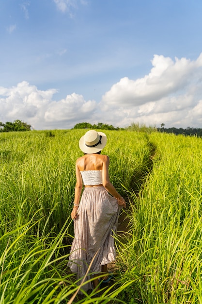 Mulher esguia com chapéu caminha por um caminho estreito entre plantações de arroz verde. Conceito de relaxamento na natureza