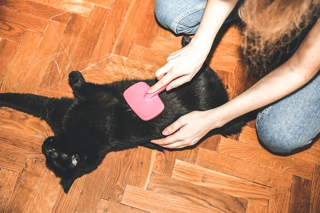 Mulher está escovando o gato preto. Cuidar de animais de estimação. Derramamento de peles. Animal feliz.