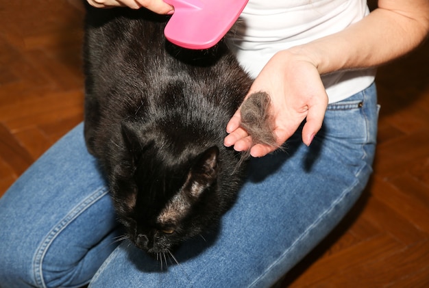 Mulher está escovando o gato preto. Cuidar de animais de estimação. Derramamento de peles. Animal feliz.