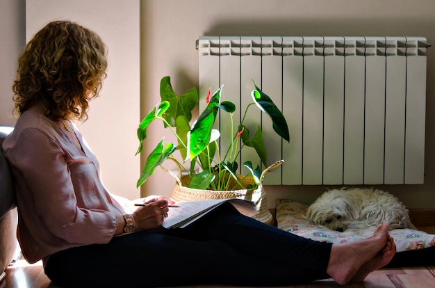 Mulher estudando em casa, deitada no sofá em casa perto da janela.