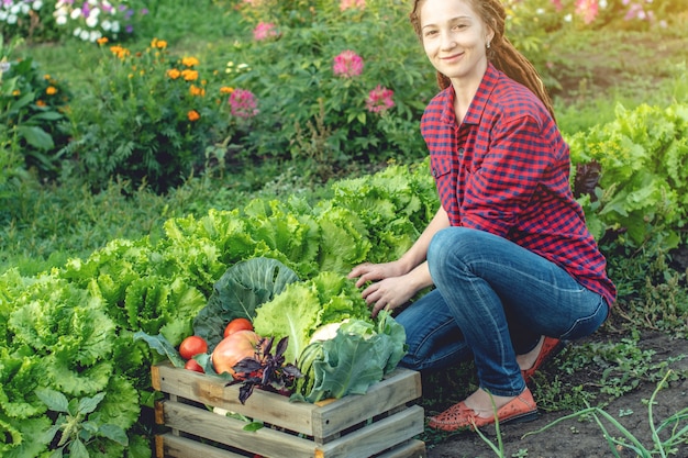 Mulher feliz, agricultora agrônoma coleta vegetais frescos