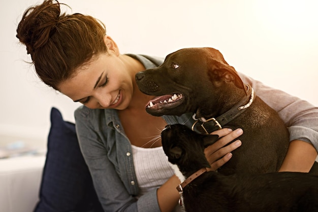 Mulher feliz cachorro e gato juntos no sofá ou animais sorrindo proprietário e carinho físico amor e abraços Menina canina e animais de estimação felinos e construindo relacionamento de qualidade com cuidado brincar ou abraçar