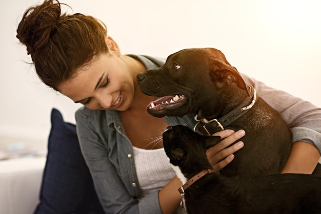 Foto mulher feliz cachorro e gato juntos no sofá ou animais sorrindo proprietário e carinho físico amor e abraços menina canina e animais de estimação felinos e construindo relacionamento de qualidade com cuidado brincar ou abraçar