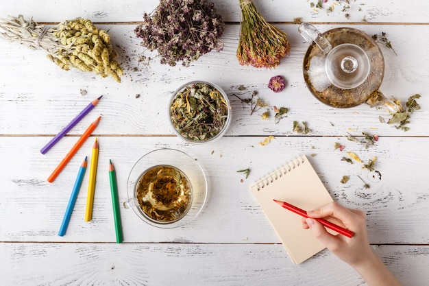 Mulher feliz com ervas medicinais, chá de ervas