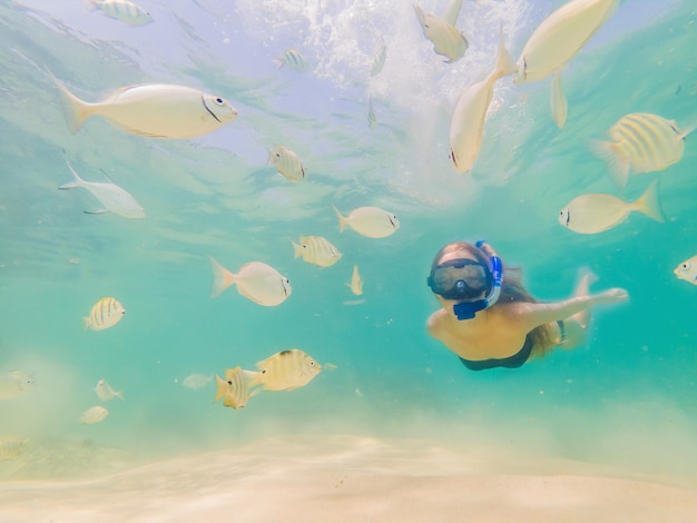 Mulher feliz na máscara de mergulho mergulha debaixo d'água com peixes tropicais na piscina do mar de recifes de corais Viagem estilo de vida esporte aquático aventura ao ar livre aulas de natação nas férias de verão na praia