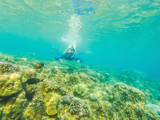 Mulher feliz na máscara de mergulho mergulha debaixo d'água com peixes tropicais na piscina do mar de recifes de corais Viagem estilo de vida esporte aquático aventura ao ar livre aulas de natação nas férias de verão na praia