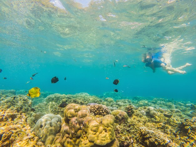 Mulher feliz na máscara de mergulho mergulha debaixo d'água com peixes tropicais na piscina do mar de recifes de corais Viagem estilo de vida esporte aquático aventura ao ar livre aulas de natação nas férias de verão na praia