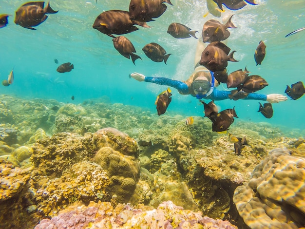 Mulher feliz na máscara de mergulho mergulha debaixo d'água com peixes tropicais na piscina do mar de recifes de corais Viagem estilo de vida esporte aquático aventura ao ar livre aulas de natação nas férias de verão na praia