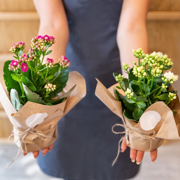 Mulher florista segurando Kalanchoe, emoção da viúva