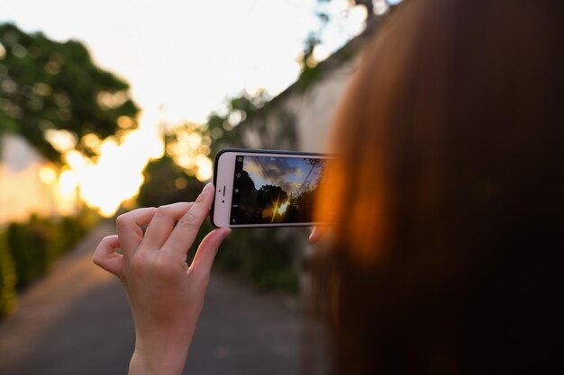 Foto mulher fotografando árvores durante o pôr do sol