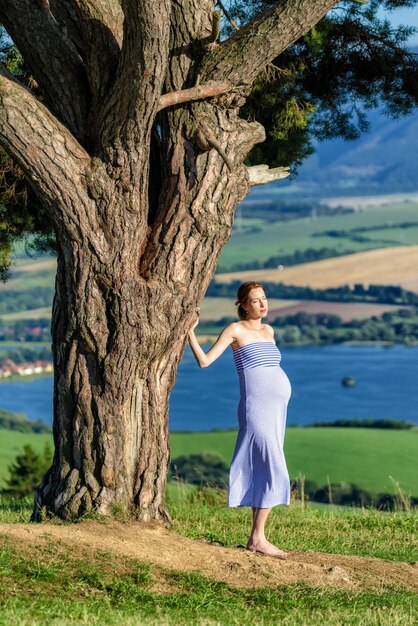 Mulher grávida de vestido azul posando debaixo da árvore na natureza