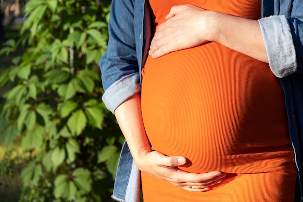 Mulher grávida de vestido laranja e camisa jeans segura a barriga grande com as mãos no parque com folhas verdes à luz do sol no fundo Gravidez maternidade maternidade e cuidados pré-natais