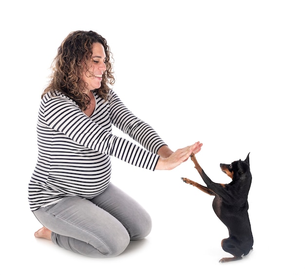 Mulher grávida e pinscher isolado no branco