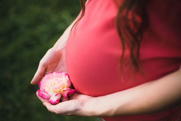 Mulher gravida que prende uma flor branca com bordas vermelhas