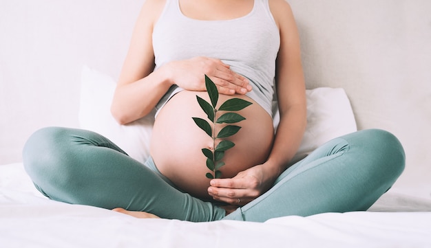 Mulher grávida segura uma planta de broto verde perto de sua barriga como símbolo de uma nova vida, bem-estar, fertilidade e saúde do bebê por nascer. Gravidez do conceito, maternidade, estilo de vida eco sustentável, ginecologia.