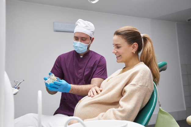 Mulher grávida sorri graciosamente enquanto ouve o dentista segurando um modelo de osso da mandíbula humana