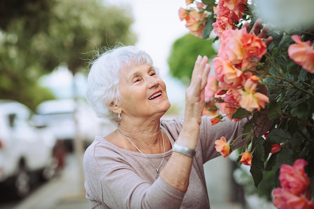 Mulher idosa admirando belos arbustos com rosas coloridas