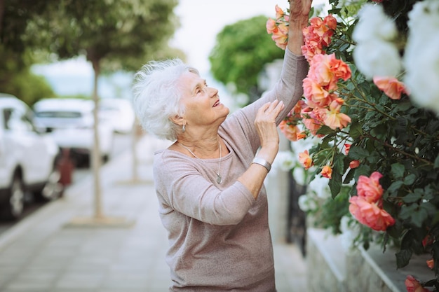 Mulher idosa admirando belos arbustos com rosas coloridas