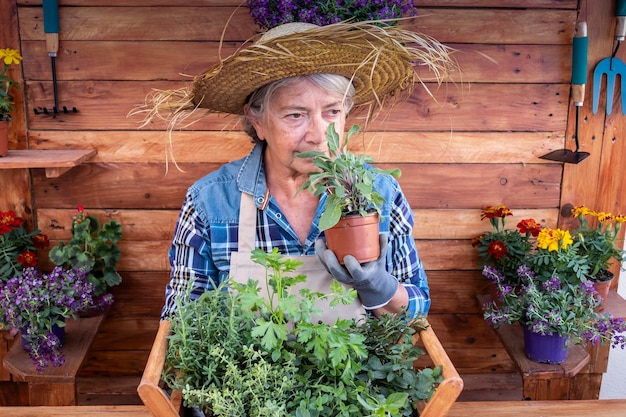 Mulher idosa aposentada enquanto faz jardinagem e cheirando a sálvia segurando ervas em uma cesta