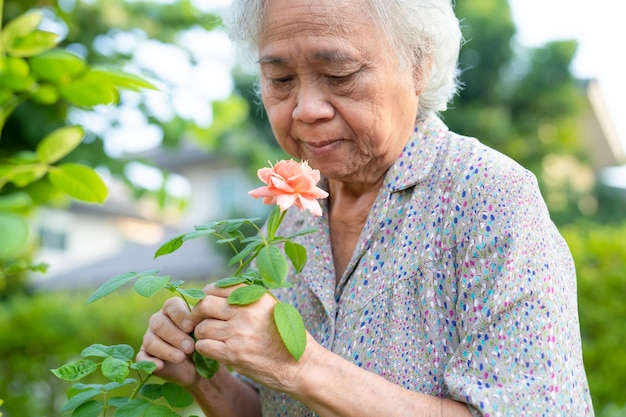 Mulher idosa asiática sênior ou idosa com flor rosa laranja rosada no jardim ensolarado.