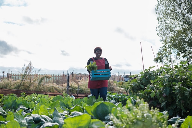 Mulher idosa cuidando de seu jardim orgânico e coletando legumes para consumir Conceito de economia de jardim alimentar