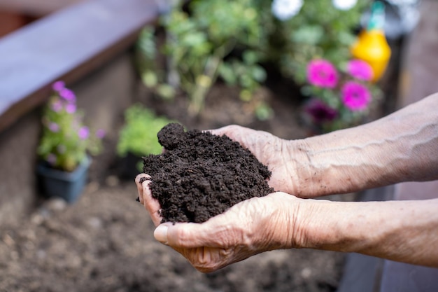 Mulher idosa em um pequeno jardim de terraço segurando o solo em suas mãos