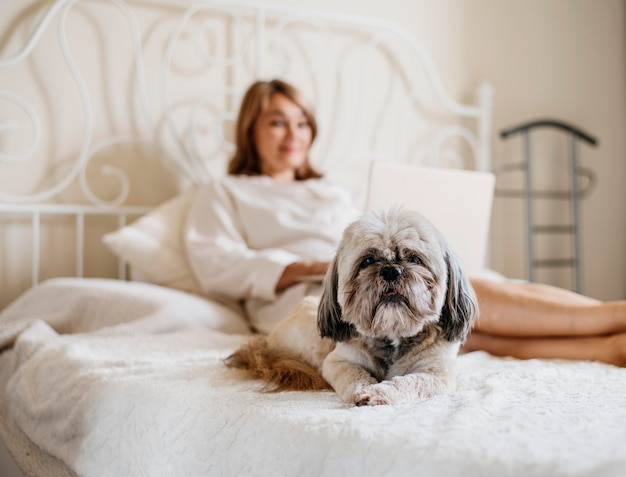 Foto mulher idosa relaxando com seu cachorro