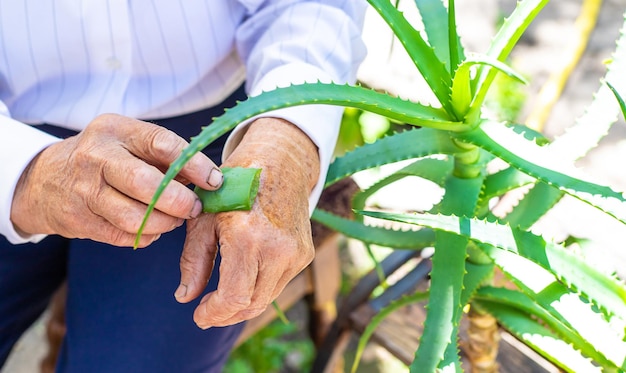 Mulher idosa tratada com suco de aloe vera Foco seletivo