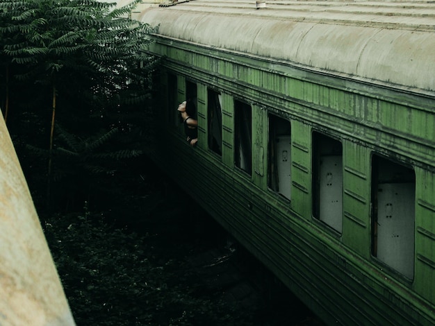 Mulher inclinada da janela do comboio