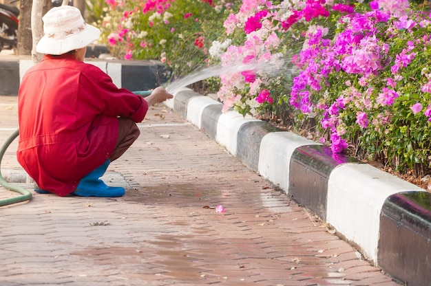 Mulher jardineira em uniforme regando árvore com mangueira de jardim no parque da cidadeJardineiro regando árvores Flores