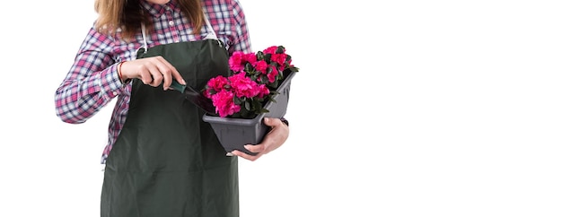 Mulher jardineira profissional ou florista em avental segurando flores em uma panela e ferramentas de jardinagem isoladas em fundo branco Copiar espaço
